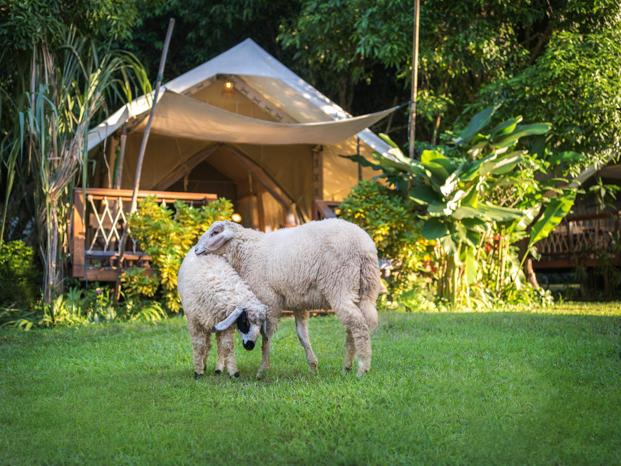 Hintok River Camp Ban Huai Maenam Noi Exteriér fotografie